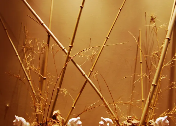 查莱特冯特诺瓦酒店