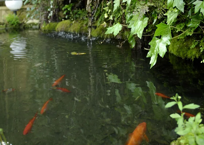 查莱特冯特诺瓦酒店 招待所 阿尔科巴萨