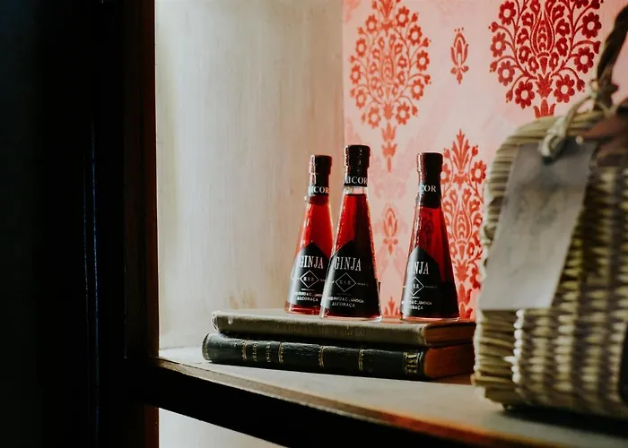 查莱特冯特诺瓦酒店 4* 阿尔科巴萨